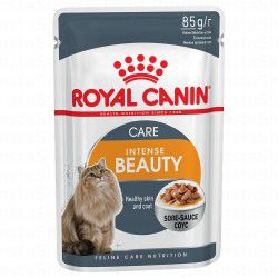 Royal Canin Feline Care Nutrition Intense Beauty Thin Slices in Gravy Wet Cat Food