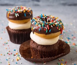 Confetti Chocolate Doughnut Cupcake