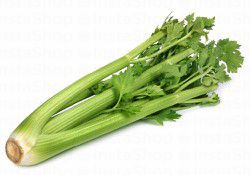 Celery