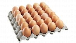 Organic Fresh Brown Eggs