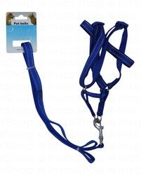Medium Blue Dog Leash with Harness
