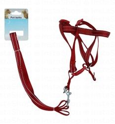 Medium Red Dog Leash with Harness