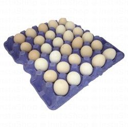 Fresh Baladi Eggs