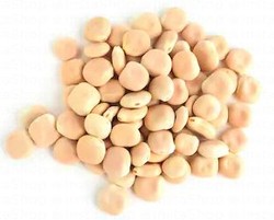 Thermos Seeds