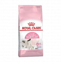 Royal Canin Feline Health Nutrition First Age Cat Food for Mother &amp; Baby Cat (1-4 Months)