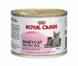 Royal Canin Feline Health Nutrition Mother &amp; Baby Cat Ultra Soft Mousse Wet Cat Food for Mother &amp; (1-4 Months)