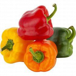 Capsicum Mix Holland