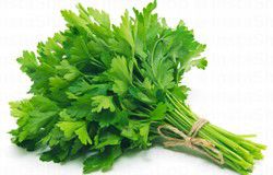 Fresh Parsley