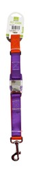 Nunbell Purple &amp; Orange Dog Leash