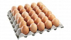 Fresh Brown Eggs