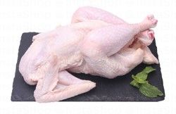Fresh Baladi Chicken (1 Piece)