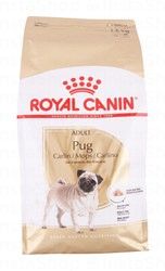 Royal Canin Breed Health Nutrition Pug Adult Dog Food (10+ Months)