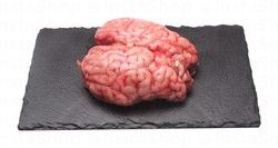 Fresh Beef Brain Local (1 Piece)