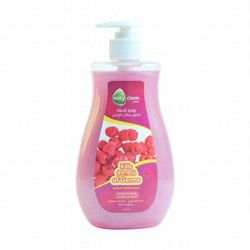Easy Clean Care Hand Soap Raspberry Scent