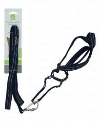 Nunbell Small Dark Blue Dog Leash with Harness
