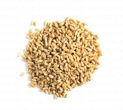Wheat Peeled