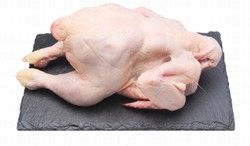 Fresh Whole Chicken Local (1 Piece)